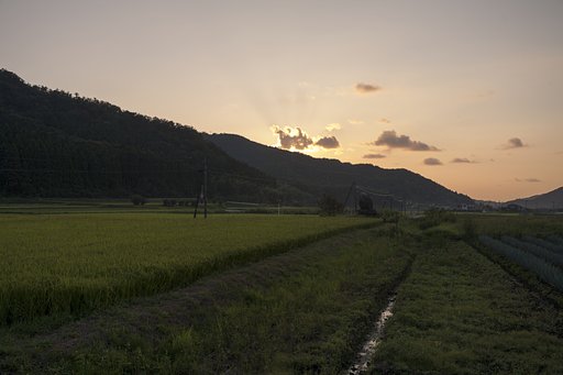 夕日の入り