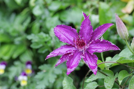 In the rain.