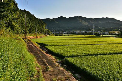 9月1日の写真