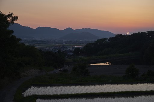 無目的な散歩