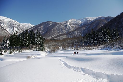 【開放感】新雪独り占め