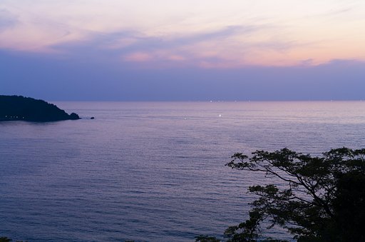 イカとり55mm