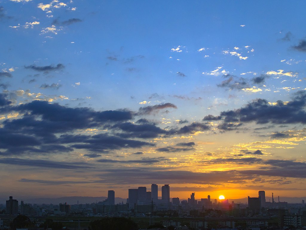 今日