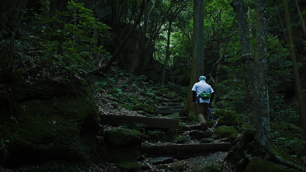 里の山男（再）