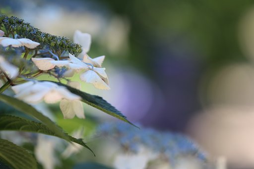 深々と