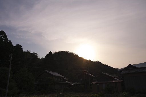 梅雨の朝に