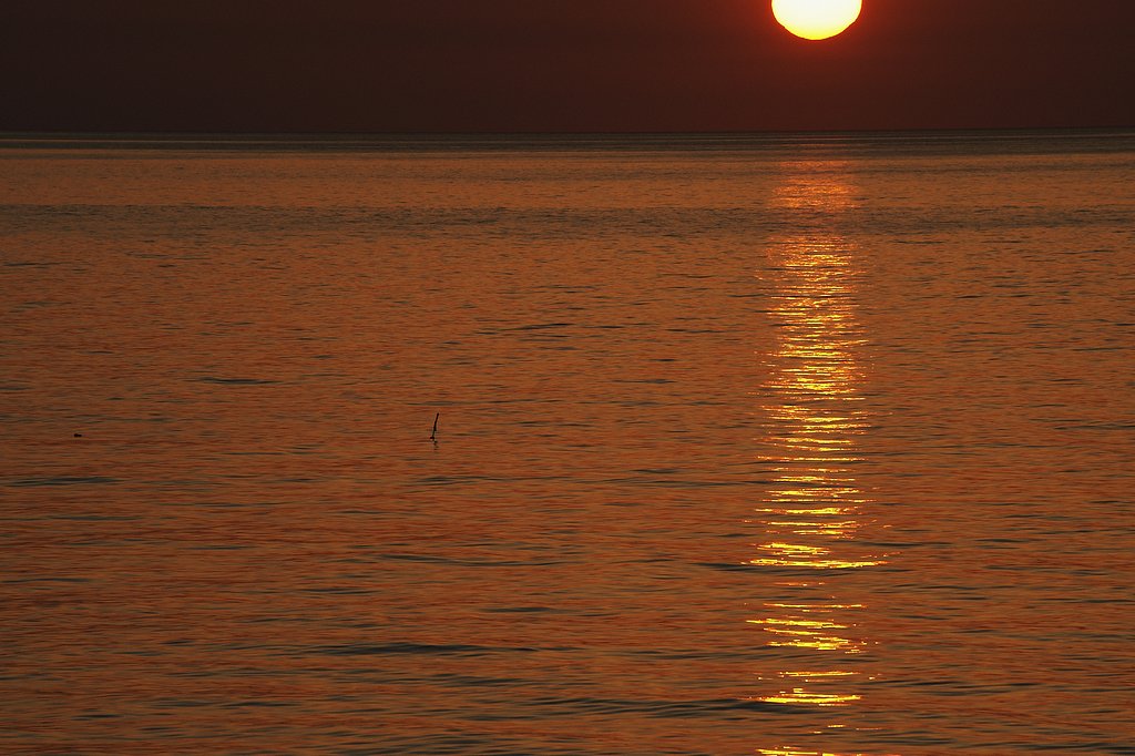 夕日