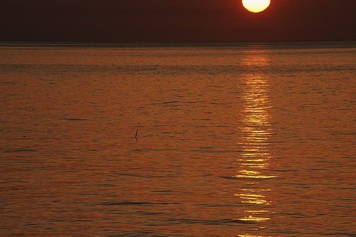 夕日