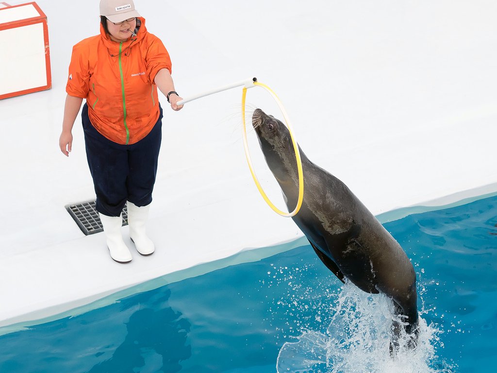 輪くぐり