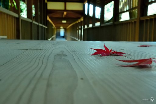 秋です