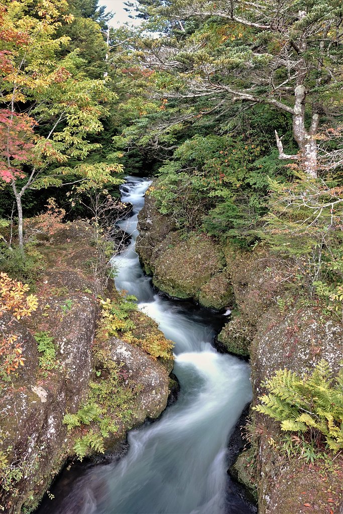 無題　（滝）