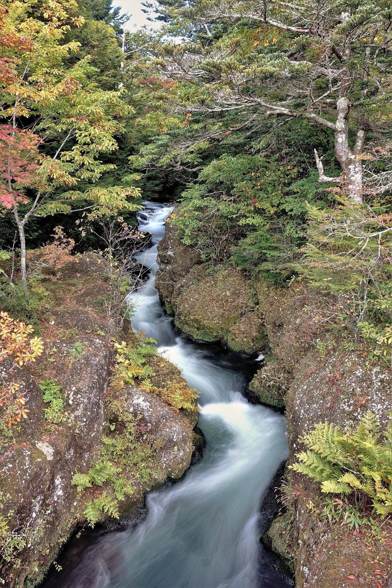 無題　（滝）