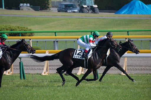 ここからが勝負