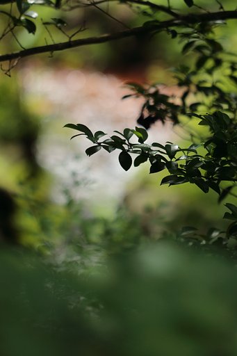 束の間