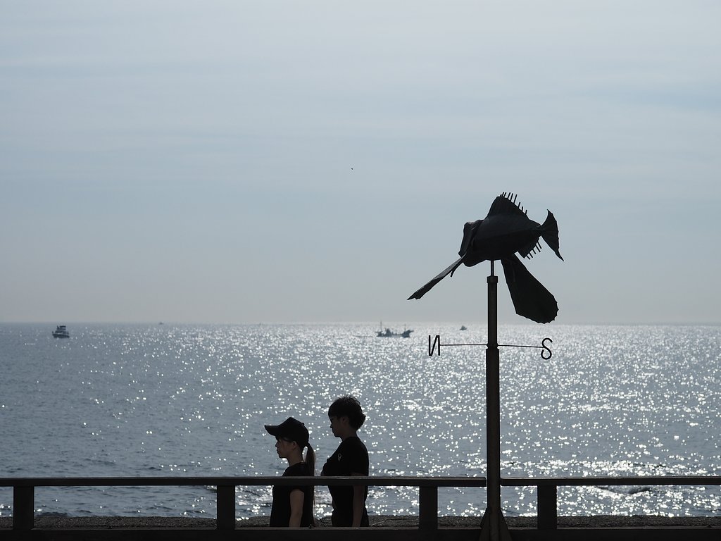 風は海から