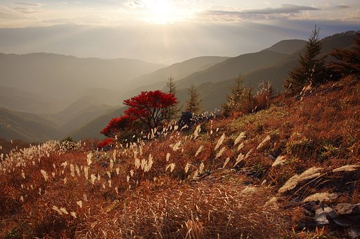 駆け降りるseason Ⅱ