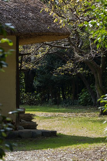 茅葺きに秋の日射し