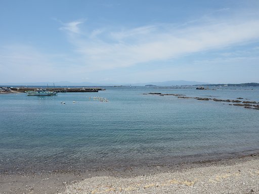 葉山F16S