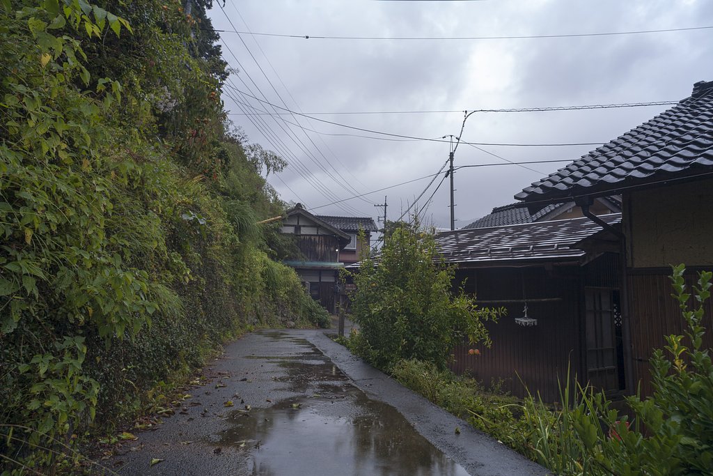 雨降りに