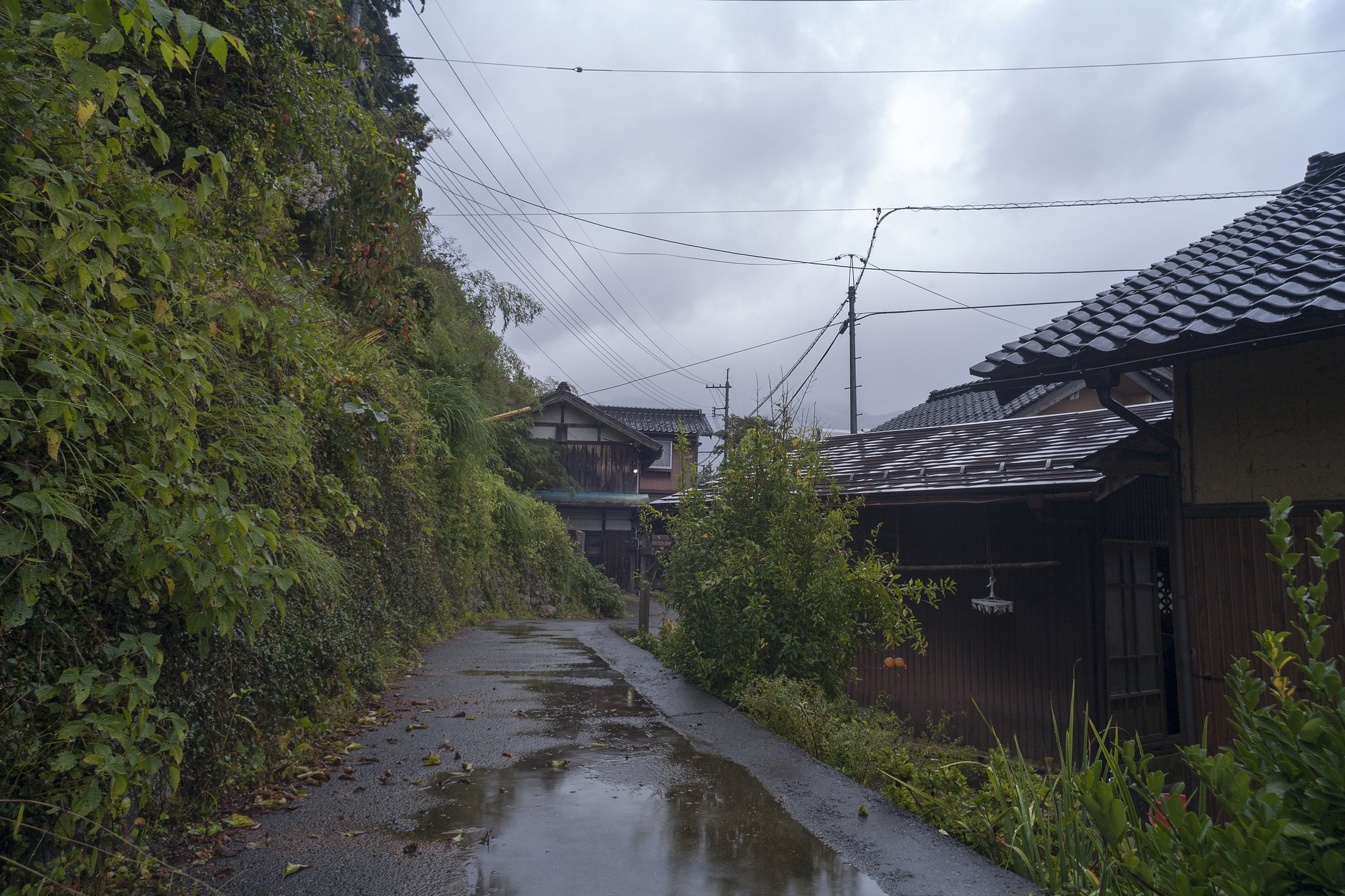 雨降りに