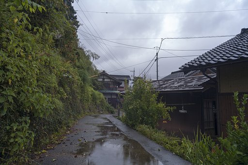 雨降りに