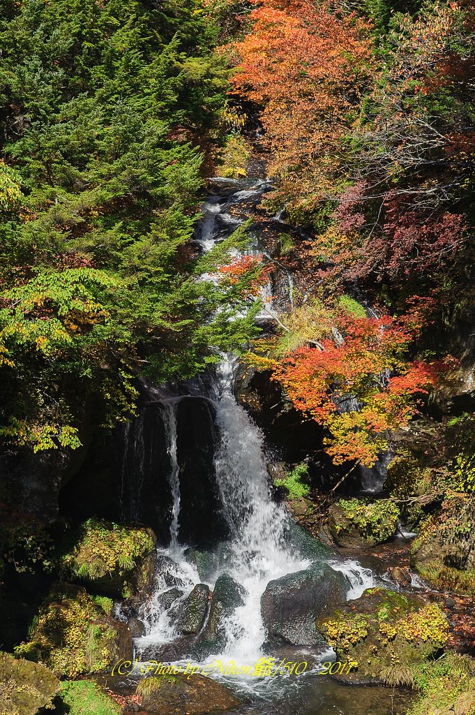 竜頭の滝2017