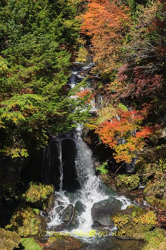 竜頭の滝2017
