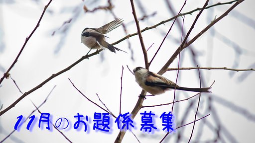 【変化】 時代の季節