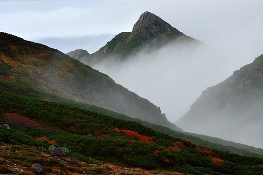 9月28日の写真