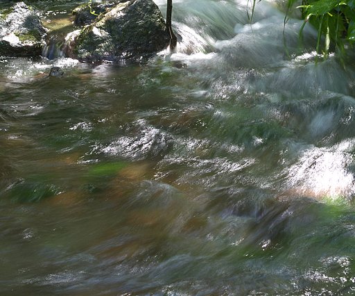木漏れ日と水音