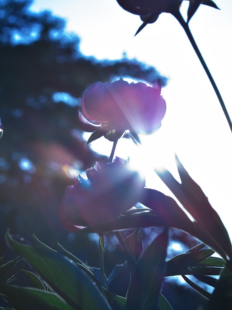 光芒
