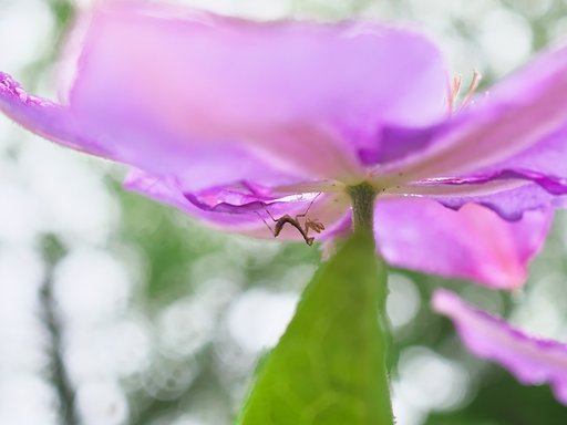 雨宿り