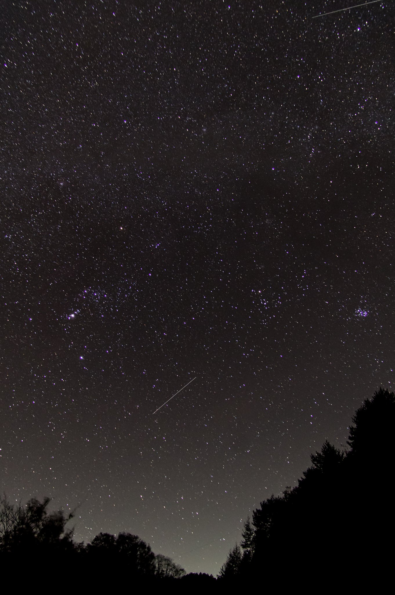 煌く冬の星々_試写（高感度耐性Ⅱ） 