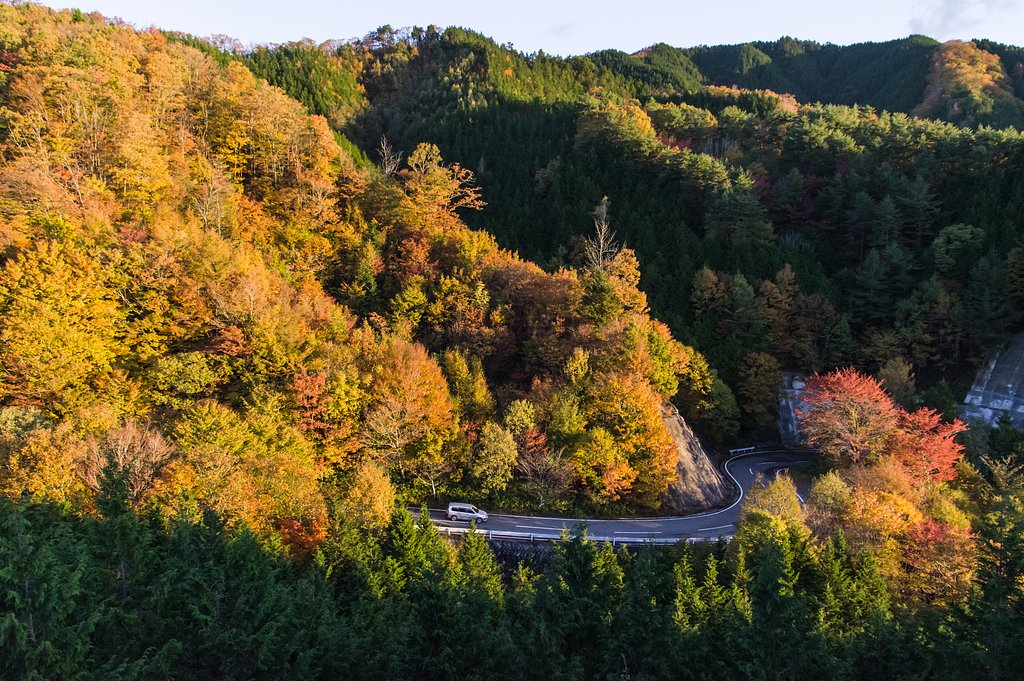 峠道錦色