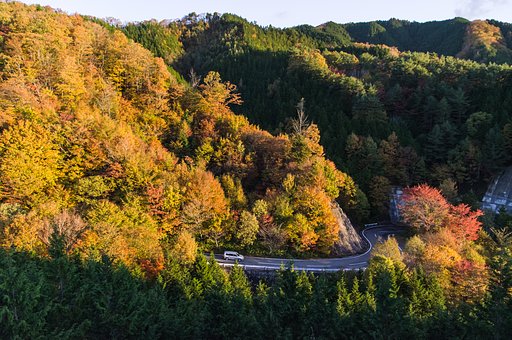 峠道錦色