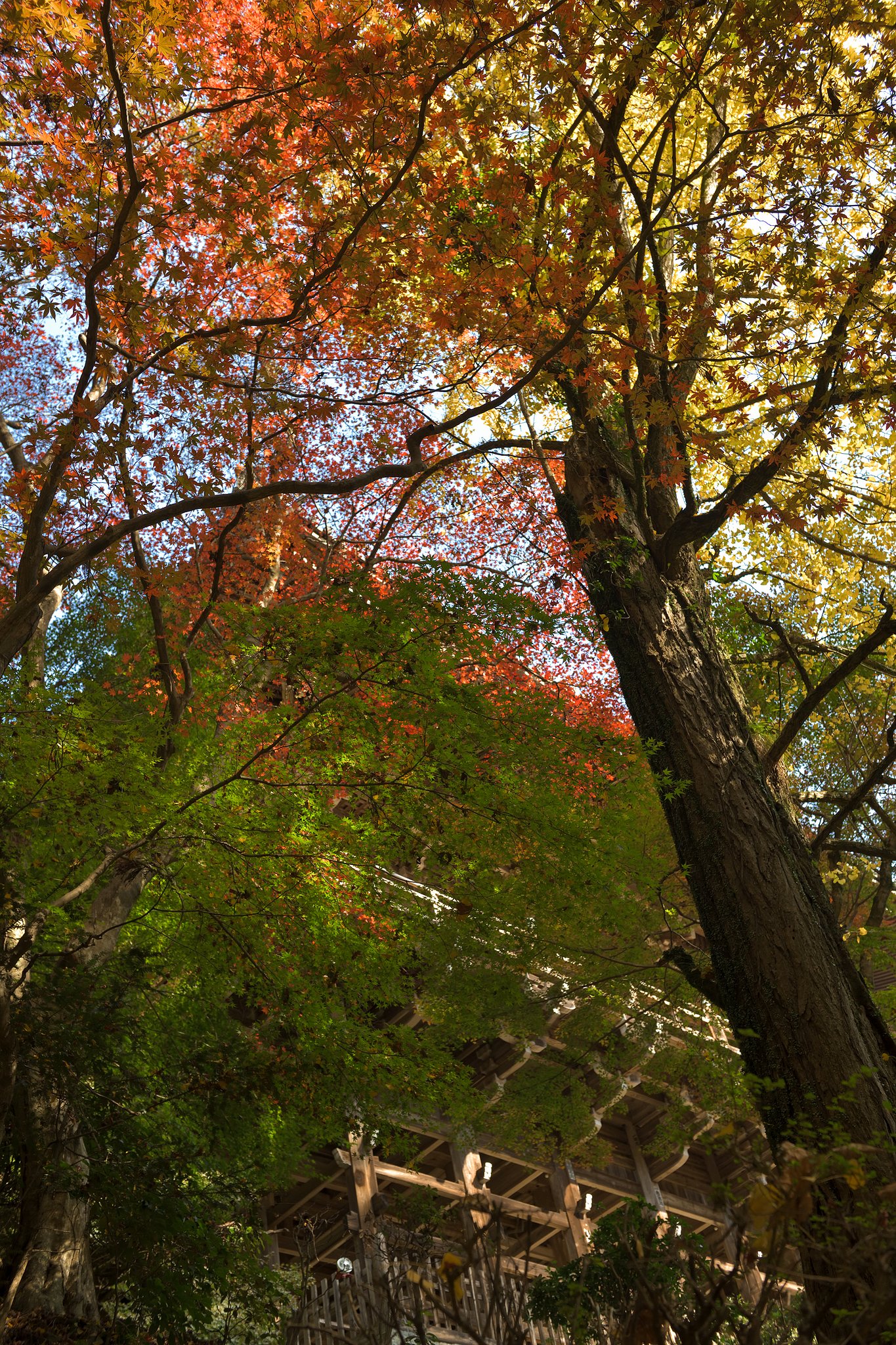 書写山　圓教寺
