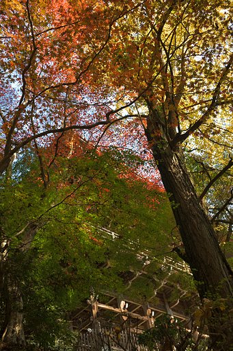 書写山　圓教寺