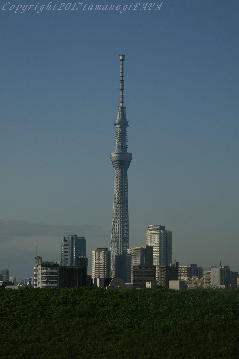 初めまして