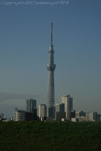 初めまして