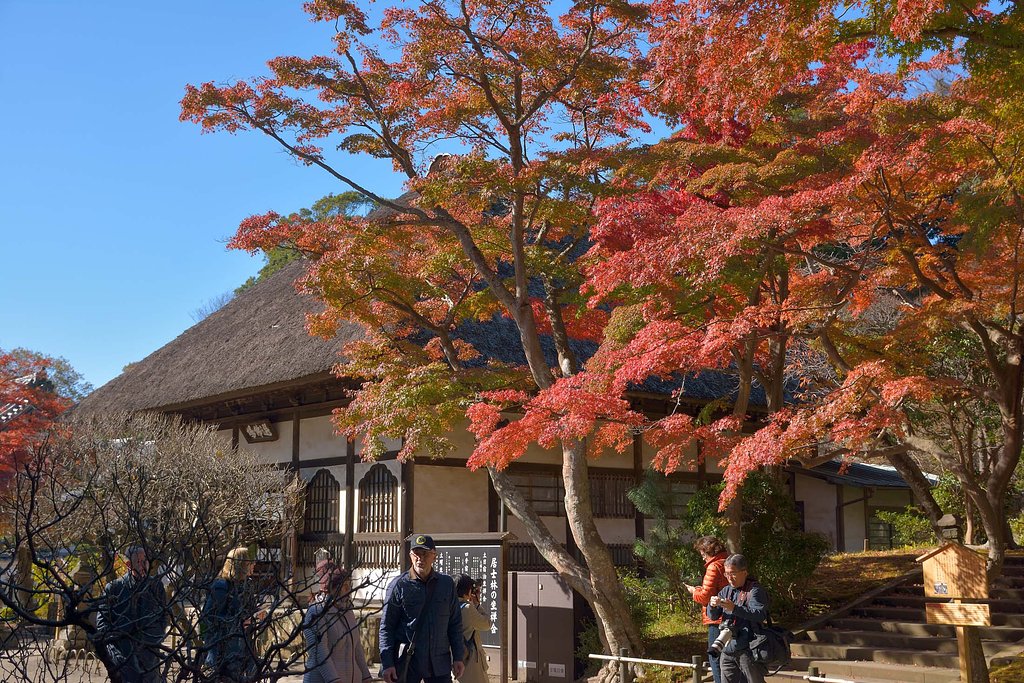 円覚寺