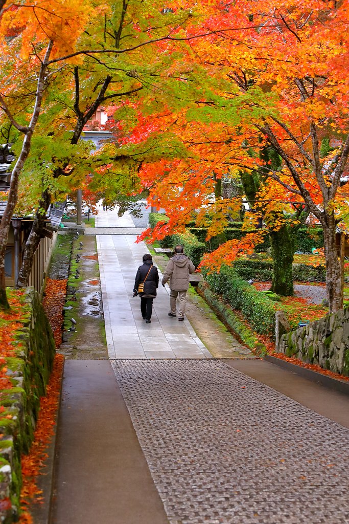 永源寺にて