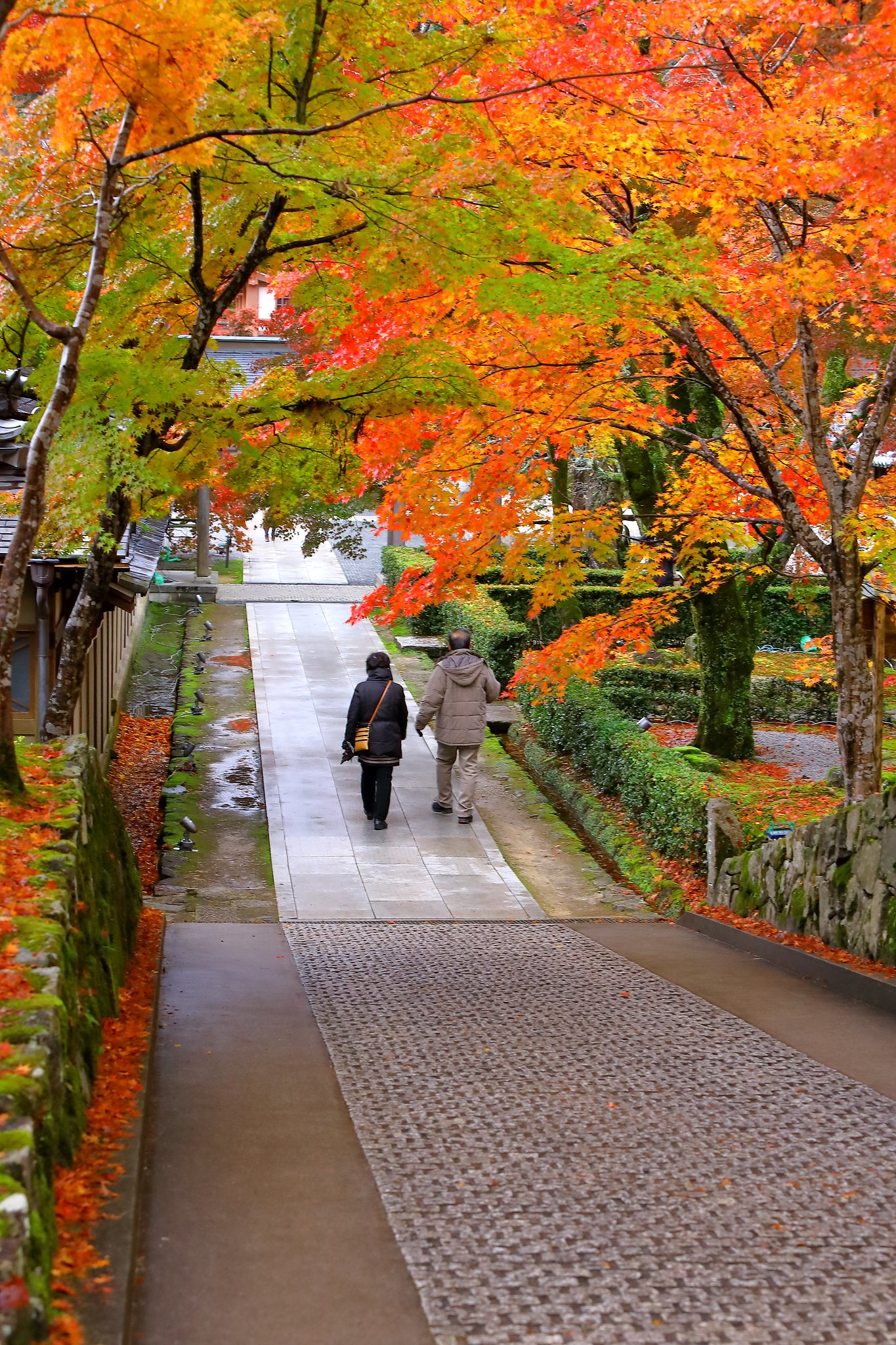 永源寺にて