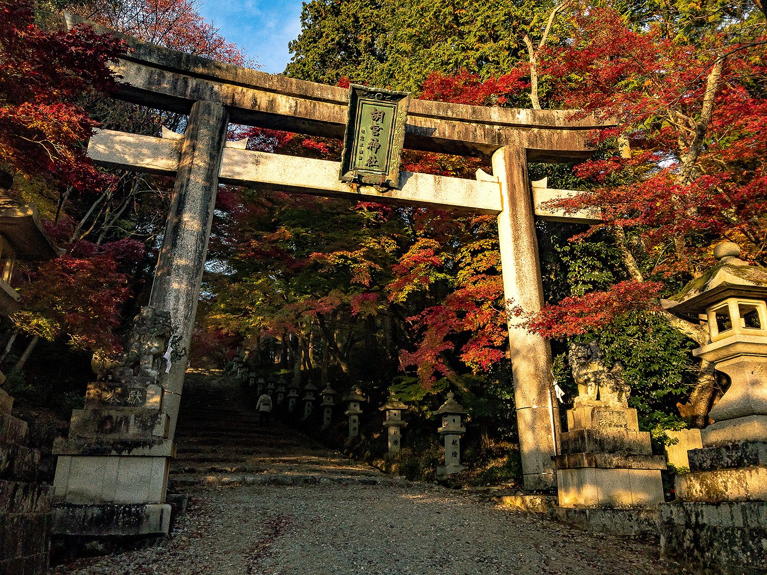 胡宮神社 2 