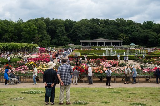 神代植物園 薔薇フェスタ