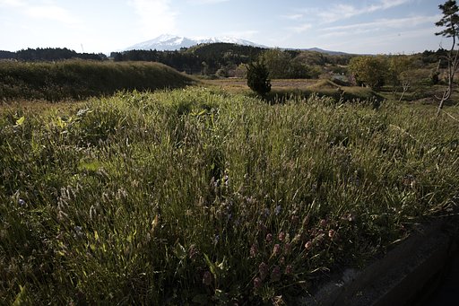 鳥海山遠望