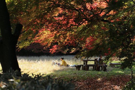 穏やかな紅葉狩り