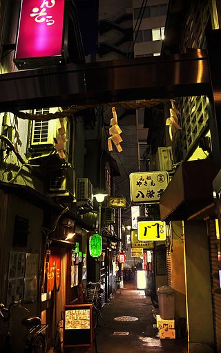 【故郷～かな？】呑み屋横丁