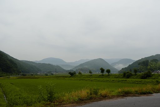 梅雨の雨