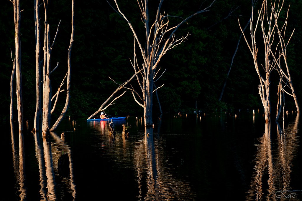 Kayaker in the Dusk