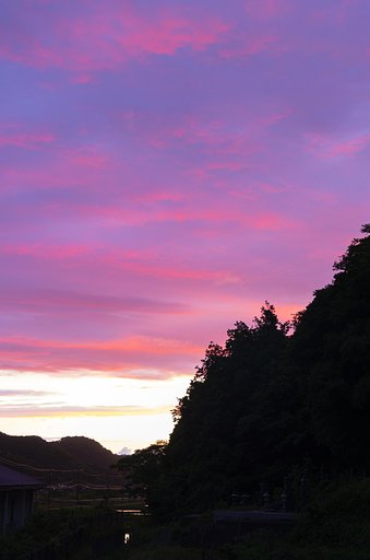 夕方遅く晴れ間に